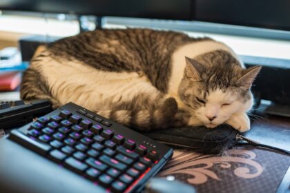 Gaming Gadget Blog